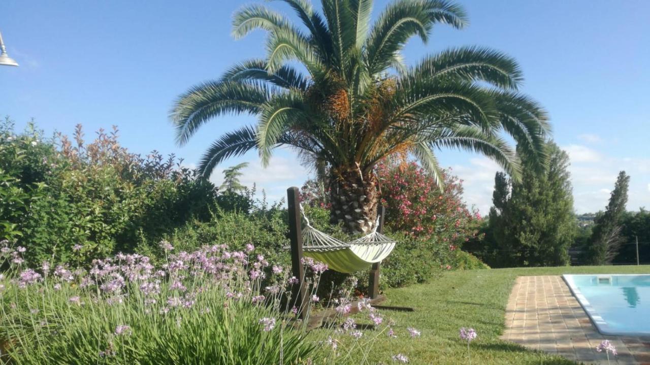Agriturismo La Vecchia Fonte Castelbellino Bagian luar foto