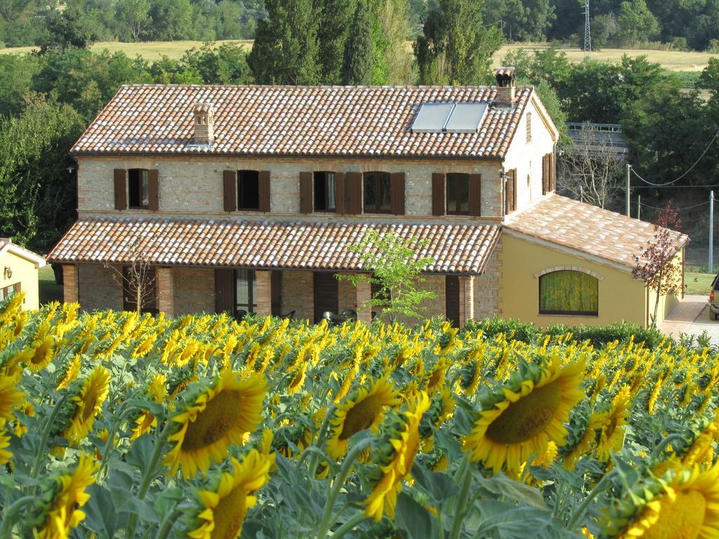 Agriturismo La Vecchia Fonte Guest House Castelbellino Bagian luar foto