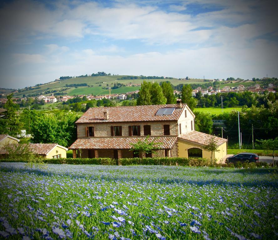 Agriturismo La Vecchia Fonte Castelbellino Bagian luar foto